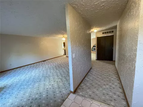 717 Levin Dr, O'fallon, MO 63366 photo 27