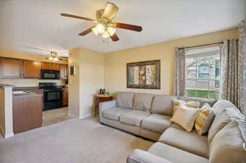 14100 Spring Creek Ln, O'fallon, MO 63368 photo 7