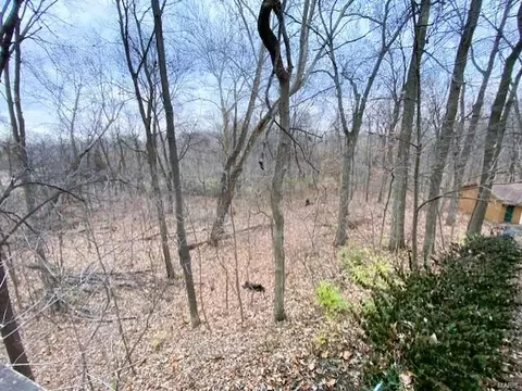 1144 Deep Forest Dr, Chesterfield, MO 63005 photo 34