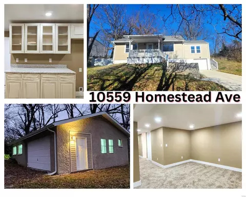 10559 Homestead Ave, Saint Louis, MO 63114