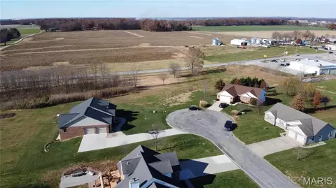 964 Kleefeld Ln, Saint Libory, IL 62282 photo 6