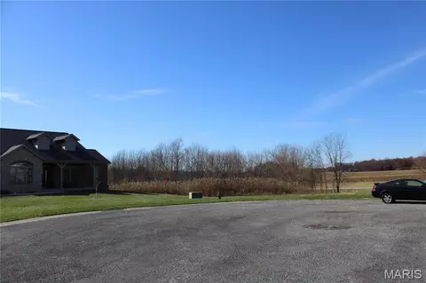 964 Kleefeld Ln, Saint Libory, IL 62282 photo 13