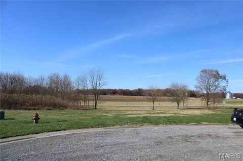 964 Kleefeld Ln, Saint Libory, IL 62282 photo 14