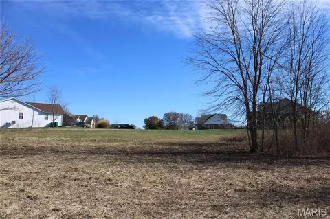 964 Kleefeld Ln, Saint Libory, IL 62282 photo 15