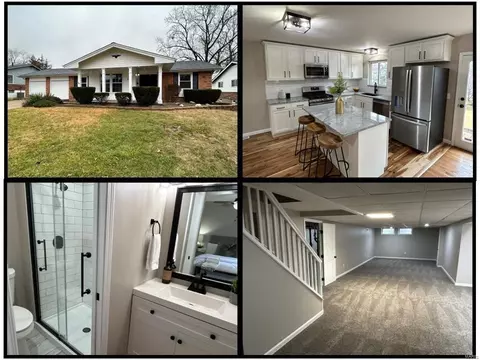 2060 Valencia Dr, Florissant, MO 63033