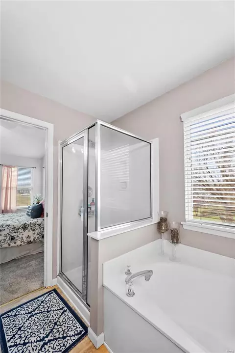 19 Crested Butte Ct, O'fallon, MO 63368 photo 16
