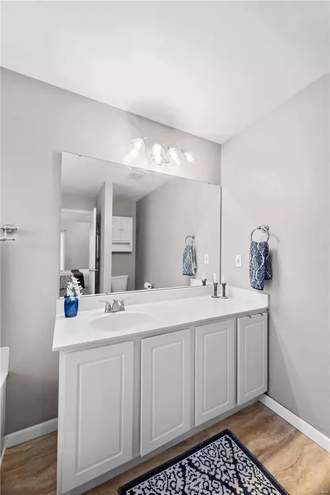 19 Crested Butte Ct, O'fallon, MO 63368 photo 15