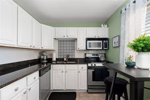 111 E Washington Ave #1N, Saint Louis, MO 63122 photo 10