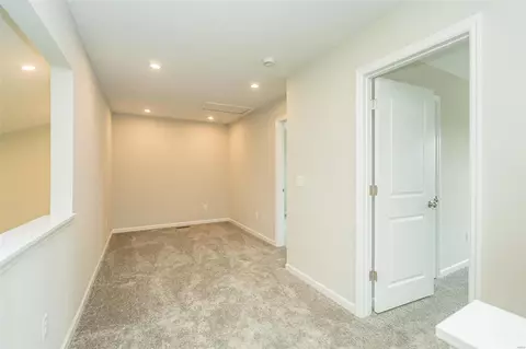 Other - 1557 Misty River Dr, O'fallon, MO 63366 photo 12 of 15