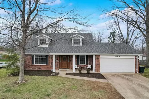 823 Pine Village Ct, Ballwin, MO 63021 photo 46