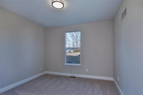 238 Randlin Dr, O'fallon, MO 63367 photo 21