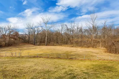 Exterior - 63 White Doe Ct, Eureka, MO 63025 photo 8 of 11
