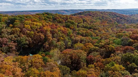 1368 Forest Splendor Trl, Wildwood, MO 63021 photo 29