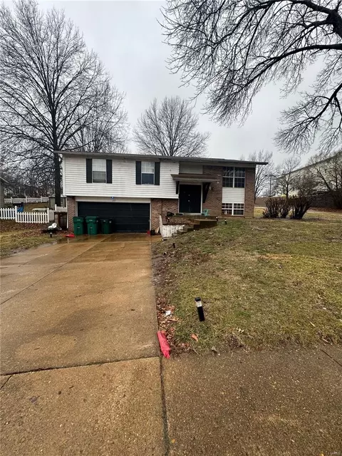 120 E Ravine Ave, Saint Louis, MO 63119
