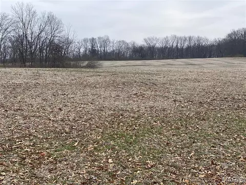 30 Elm Tree Rd, Moscow Mills, MO 63362