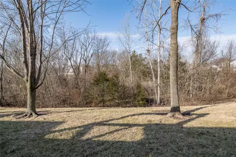 Exterior - 423 Dames Park Dr, O'fallon, MO 63366 photo 15 of 15