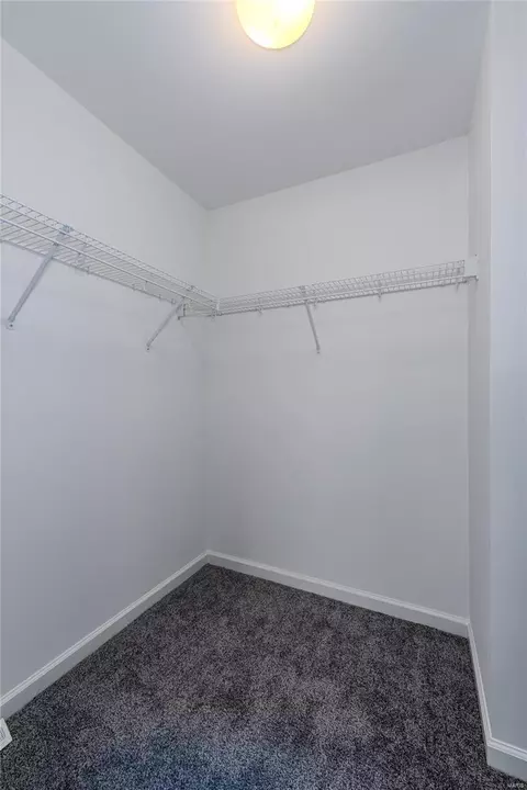 Other - 423 Dames Park Dr, O'fallon, MO 63366 photo 15 of 21