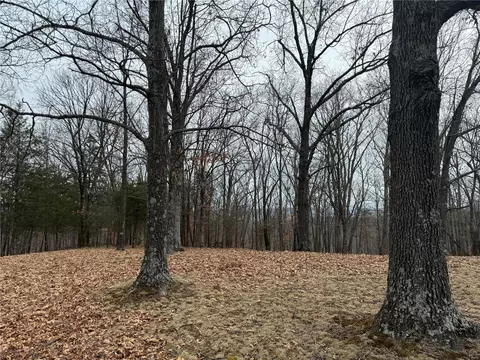 0 Terry Rd, Augusta, MO 63332