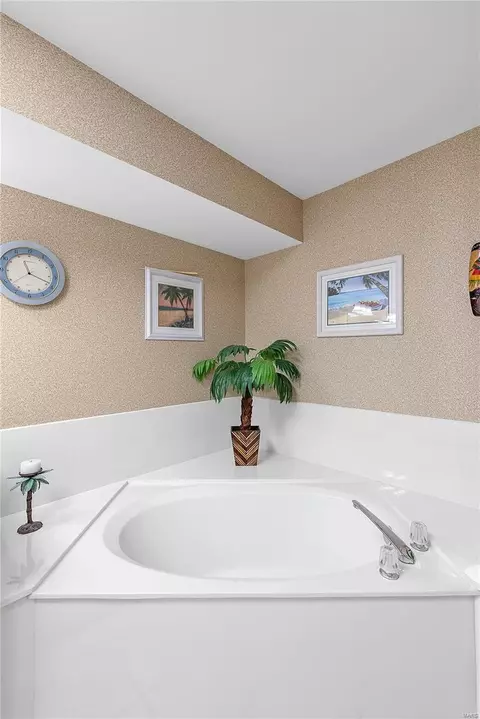 Bath - 471 Winter Park Dr, O'fallon, MO 63366 photo 2 of 4
