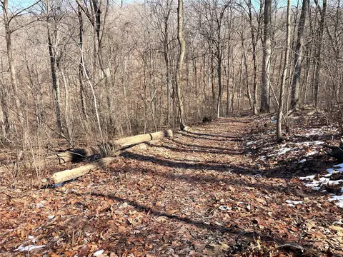 18947 Hardt Rd, Glencoe, MO 63038 photo 7