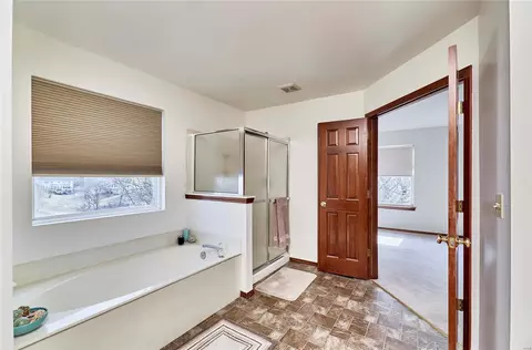 Bath - 1212 Arbor Trails Ct, Ballwin, MO 63021 photo 2 of 5