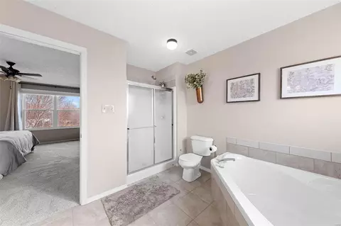 Bath - 7230 Cinnamon Teal Dr, O'fallon, MO 63368 photo 5 of 5