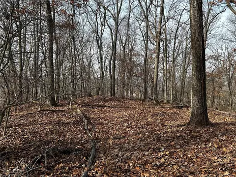 19012 Old Wild Turkey Ln, Pacific, MO 63069