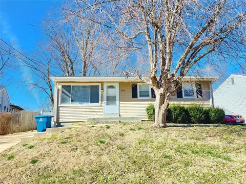 259 Elbring Dr, Saint Louis, MO 63135