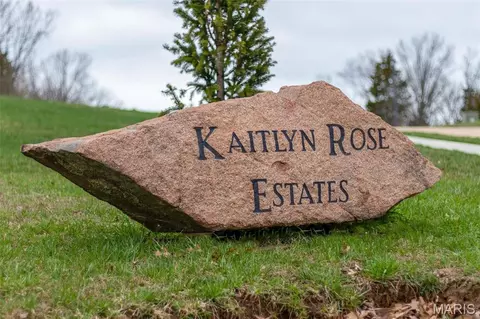 4640 Dylan Dr, De Soto, MO 63020