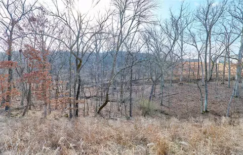 View/Area - 17434 Wyman Ridge Dr, Eureka, MO 63025 photo 3 of 7