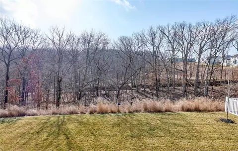 View/Area - 17434 Wyman Ridge Dr, Eureka, MO 63025 photo 4 of 7