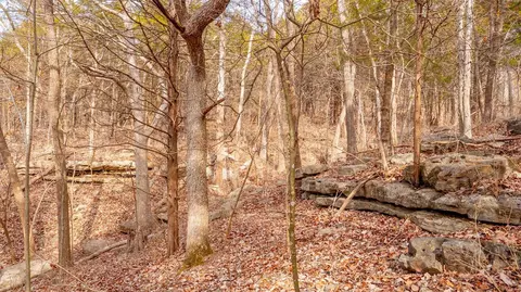 5 Franz Rd, Eureka, MO 63025 photo 30