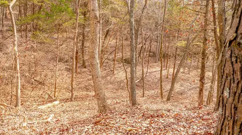 5 Franz Rd, Eureka, MO 63025 photo 21