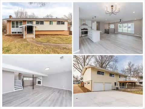 802 Brookvale Ter, Manchester, MO 63021
