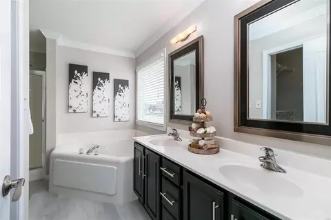 Bath - 6929 Brassel Dr, O'fallon, MO 63368 photo 1 of 6