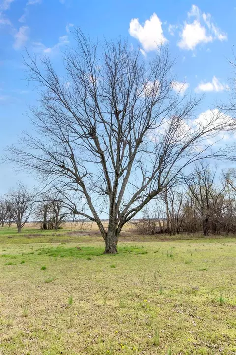 View/Area - 18465 County Road 405, Kennett, MO 63857 photo 34 of 35