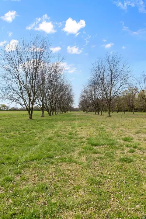 View/Area - 18465 County Road 405, Kennett, MO 63857 photo 31 of 35