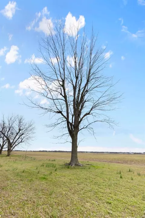 View/Area - 18465 County Road 405, Kennett, MO 63857 photo 35 of 35