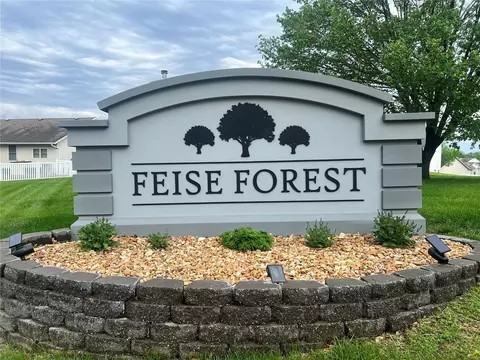View/Area - 6 Feise Forest Ct, O'fallon, MO 63368 photo 2 of 2