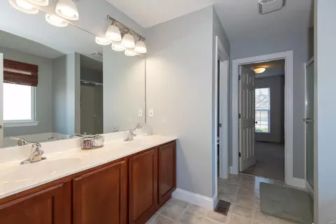 Bath - 1117 Spring Lilly Ct, High Ridge, MO 63049 photo 2 of 5
