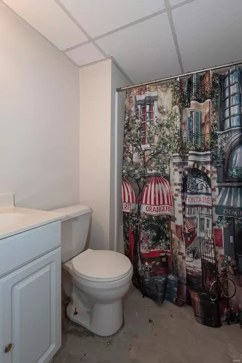 Bath - 1117 Spring Lilly Ct, High Ridge, MO 63049 photo 5 of 5