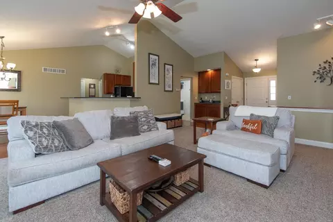 Living - 1117 Spring Lilly Ct, High Ridge, MO 63049 photo 7 of 8