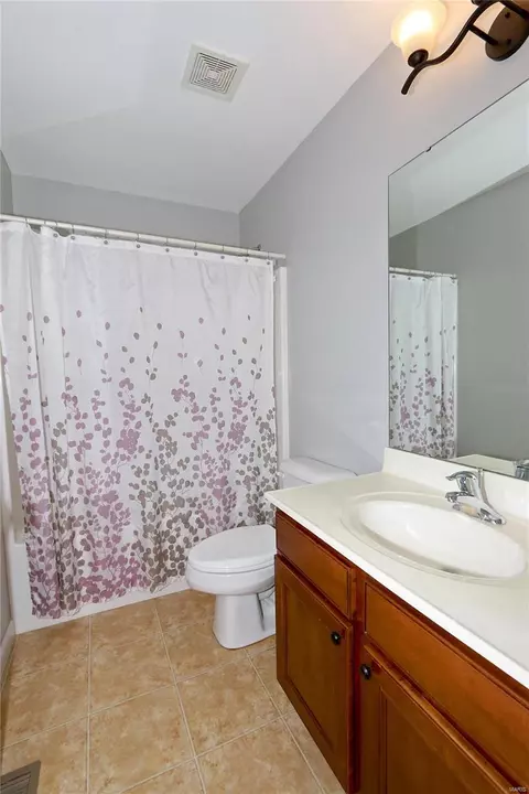 Bath - 253 Crystal Ridge Dr, O'fallon, MO 63366 photo 2 of 2