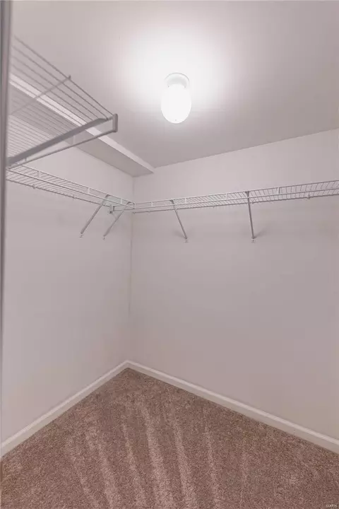 Other - 8 Locust Hills Ct, O'fallon, MO 63366 photo 15 of 21