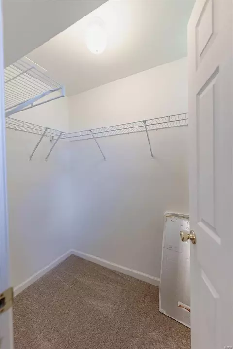 Other - 8 Locust Hills Ct, O'fallon, MO 63366 photo 17 of 21