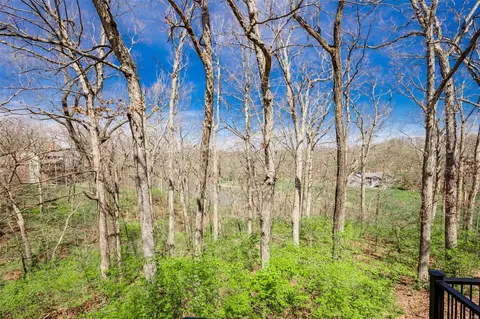 View/Area - 8 Kingspointe Ct, Chesterfield, MO 63005 photo 3 of 3