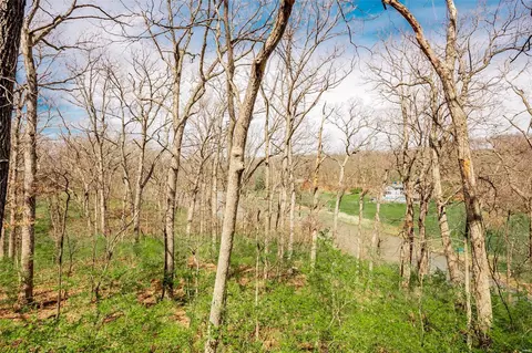 View/Area - 8 Kingspointe Ct, Chesterfield, MO 63005 photo 2 of 3