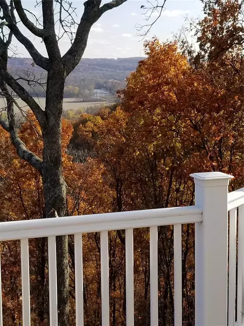 860 Legends View Dr, Eureka, MO 63025 photo 44