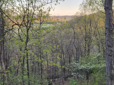 860 Legends View Dr, Eureka, MO 63025 photo 46