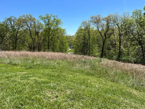 17394 Orrville Rd, Wildwood, MO 63005